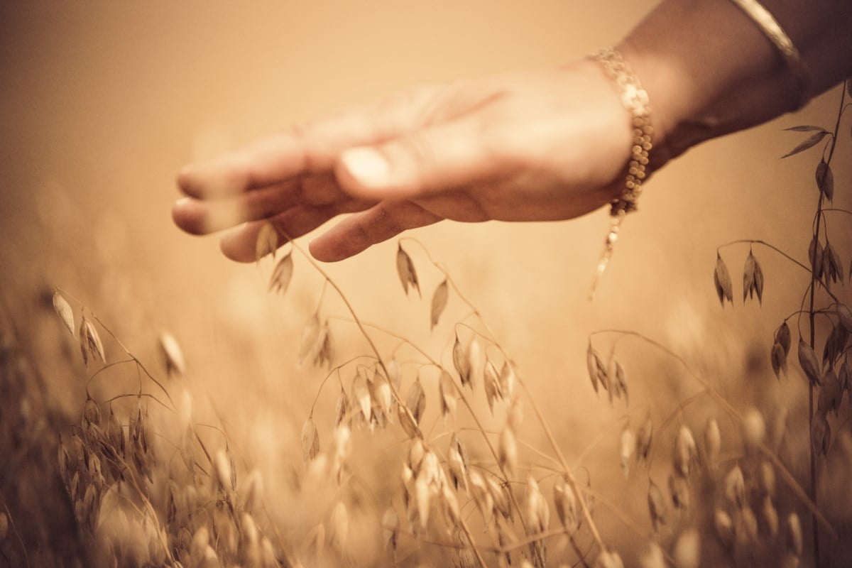 Preview image published by aurskogsparebank.no
