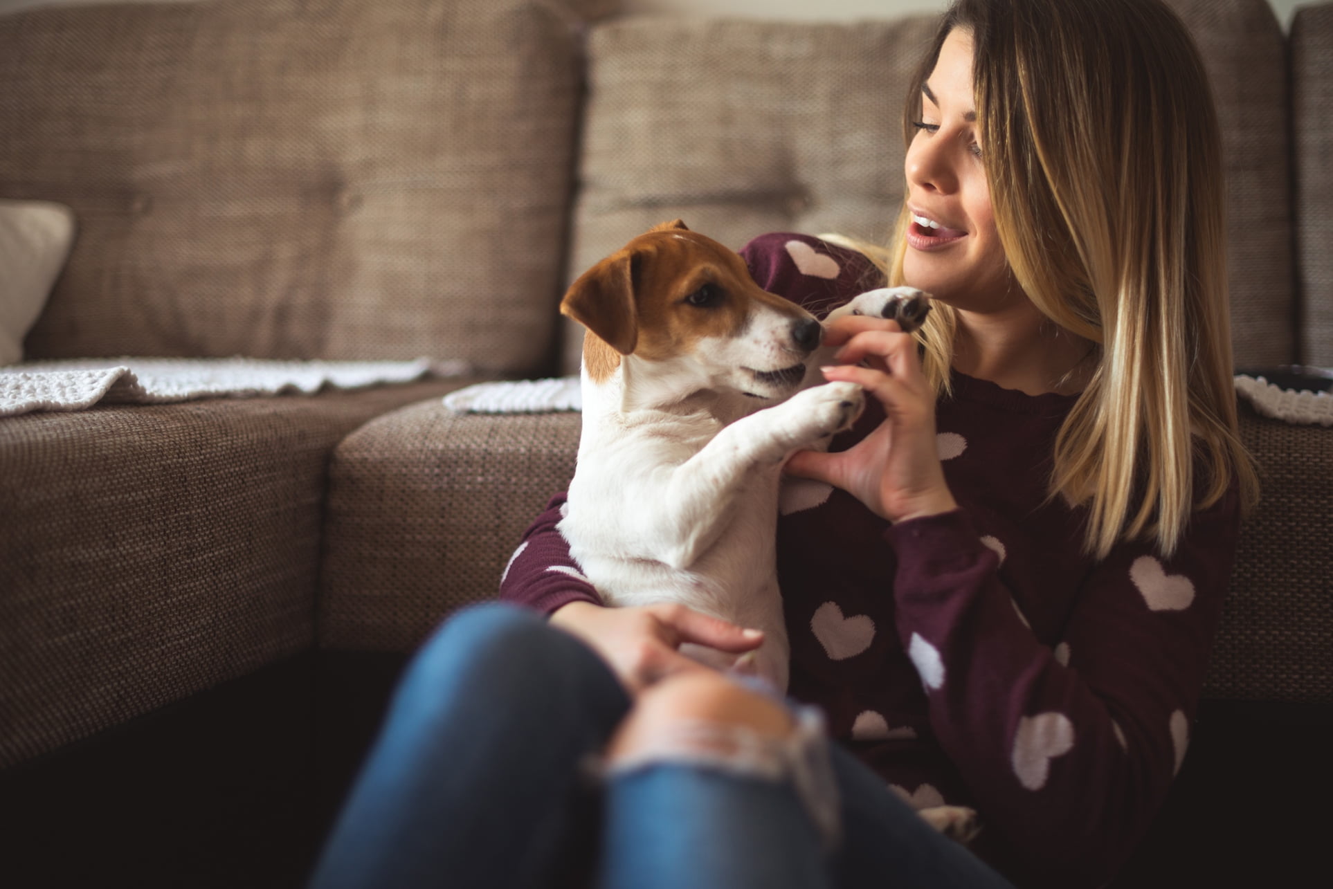 Dame leker med hund hun har på fanget foran en sofa
